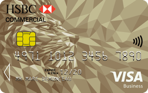 Carte Visa Gold Business