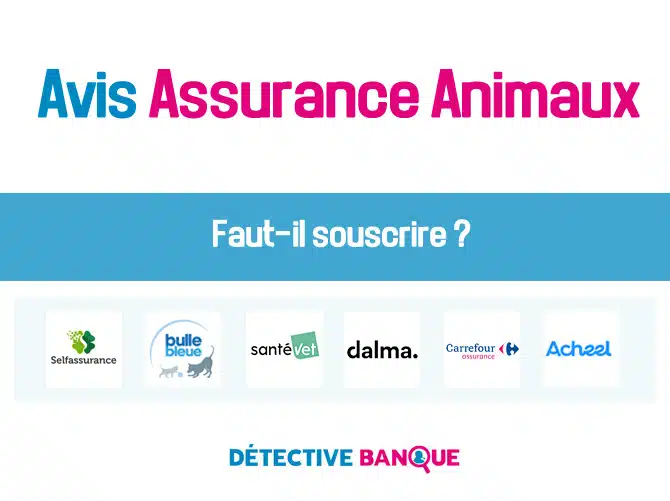 Avis Assurance Animaux