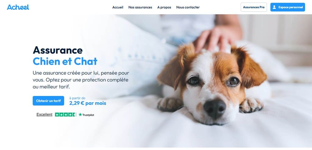 Mutuelle chien pas cher