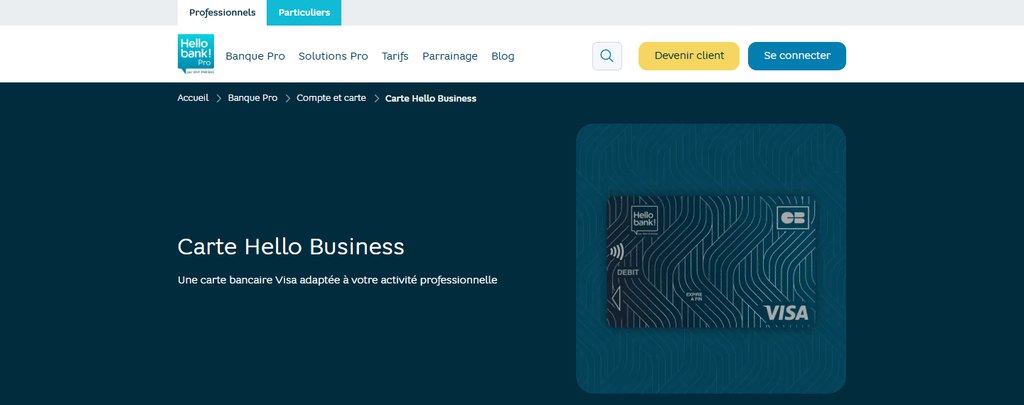 Visa Hello Business