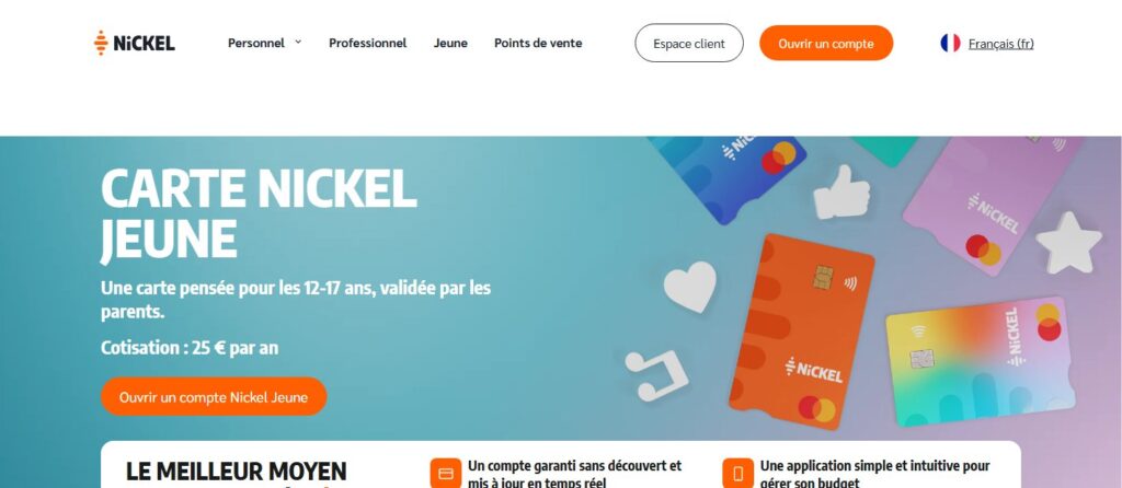 Avis Nickel Jeune